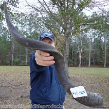 mv6_YfgN2bw9cd2sPggdXpQ