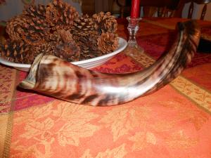 shofar 2sm