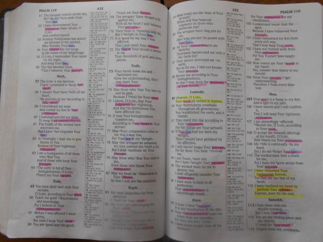 Ps 119 pt 2