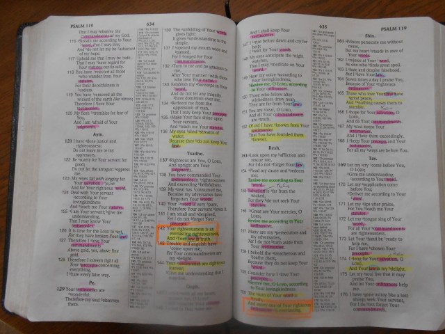 Ps 119 pt 3