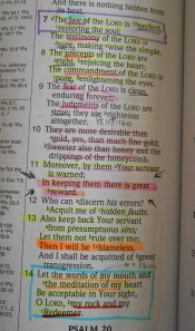 Psalm 19b