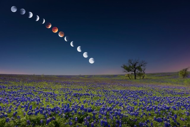 Cool Image of Blood Moon Sequence