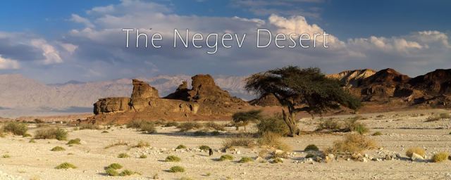 1509028_10152296357101941_33157686_n