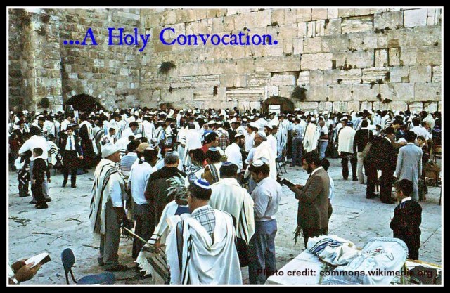 Holy Convocation pic