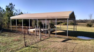 IMG_20141225_095424952_HDR