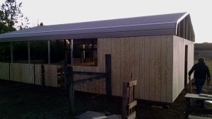 IMG_20141225_173906796