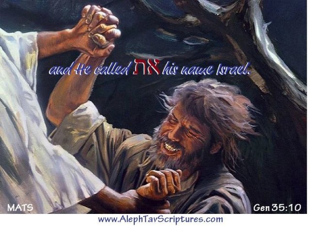 MATS IMG 19 Gen 35 10