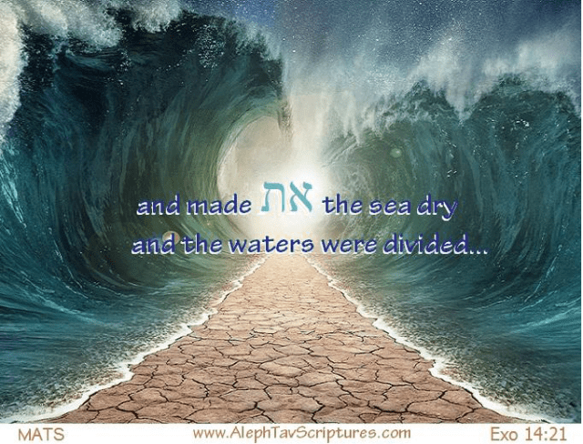 MATS IMG 30 EX 14 21