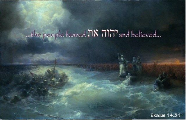 MATS IMG 34 Ex 14 31