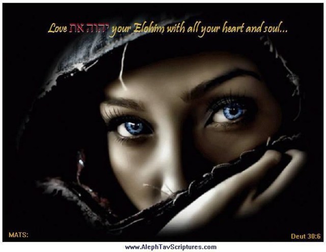 MATS IMG 63 Deu 30 6