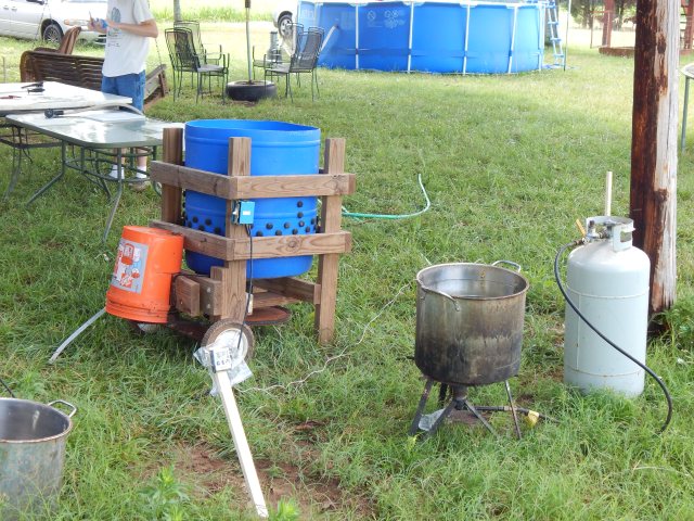 We set up in a line with several 'stations.'  Here is the scald and de-feather station. Pictured is a homemade chicken plucker using Miles Kimball's 'Whizbang Chicken Plucker' plans.  45 seconds to pretty much strip a bird.  Notice the thermometer prob in the water with reader mounted on a stake.  We find 153 degrees is the right temp for scalding the birds to release the feathers.