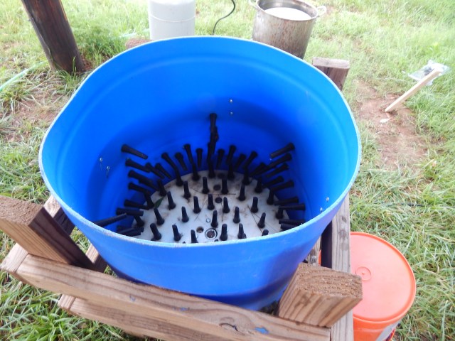 Inside the plucker...