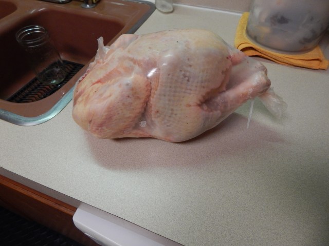 And, an example of the final product.   x 40.