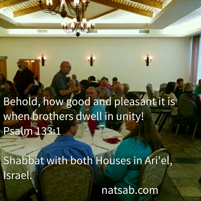 wp-1433436212602 image