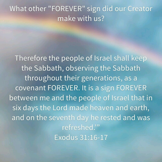 wp-1434622526674 image