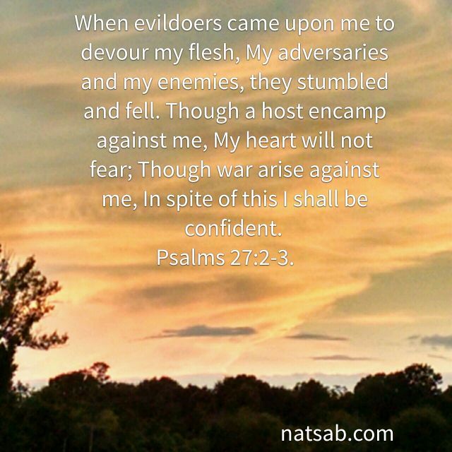 image_editor_1441278405134