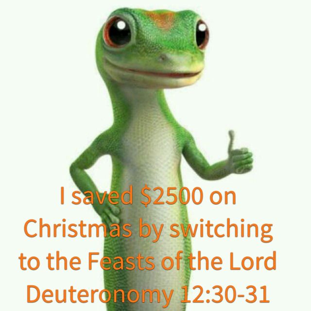 wp-1451093076927 image