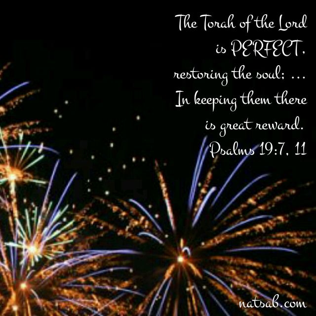 wp-1451881070249 image