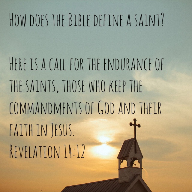 wp-1455055326642 image