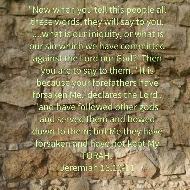 wp-1460462610522 image