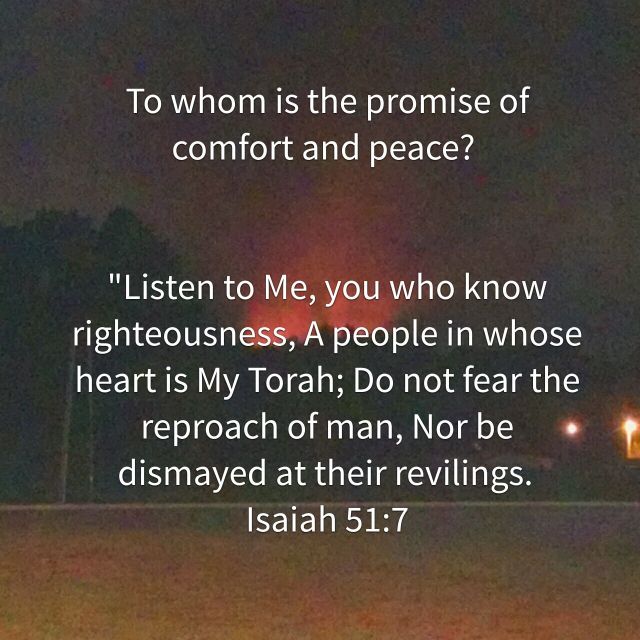 wp-1460731055592 image