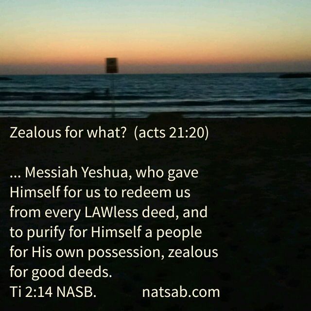 wp-1466418248202 image