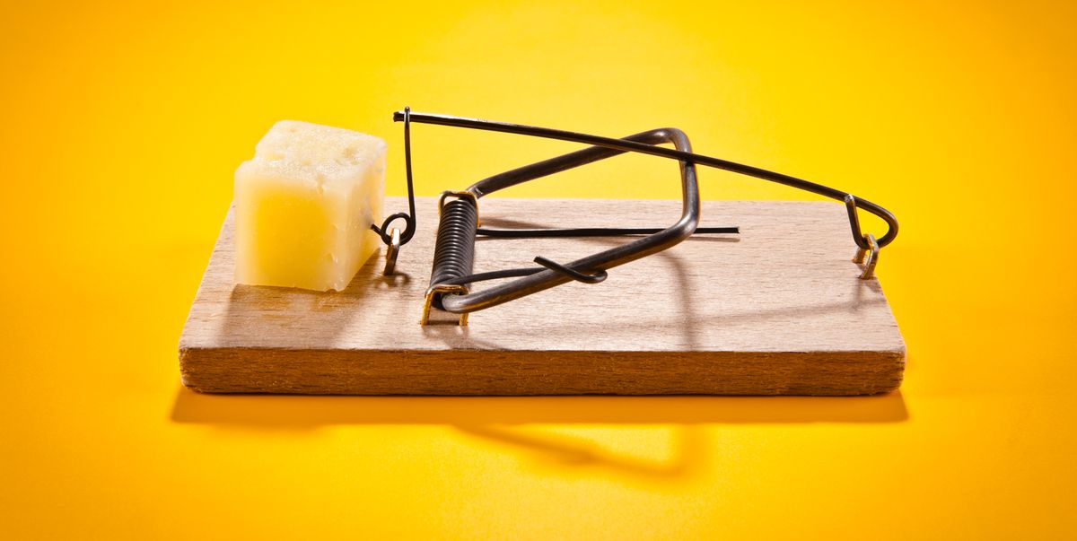 mousetrap-with-hard-cheese
