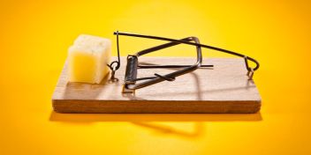 mousetrap-with-hard-cheese